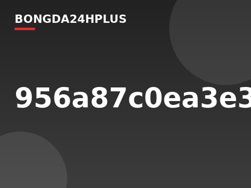 956a87c0ea3e32-0011