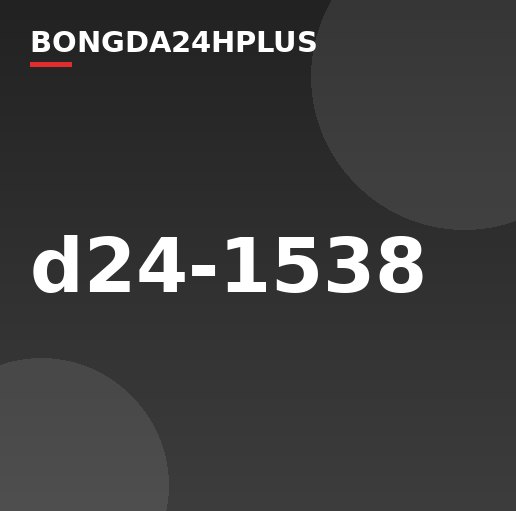 d24-1538