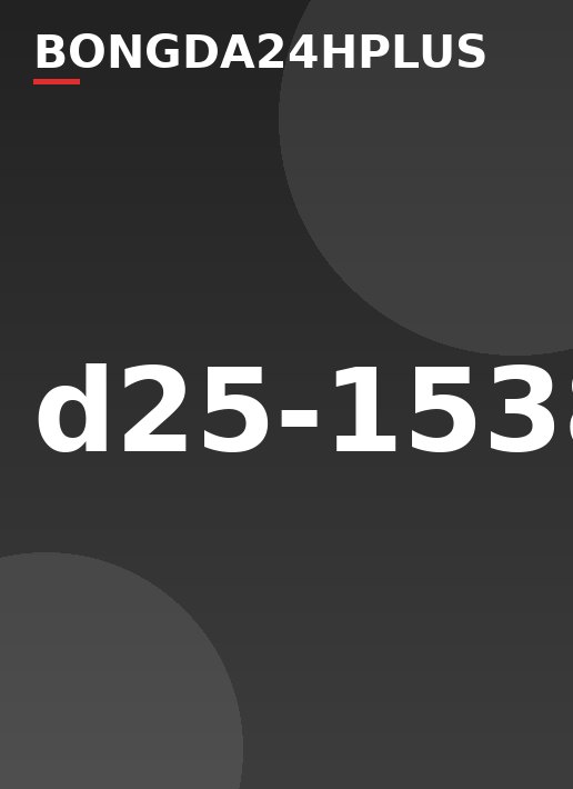 d25-1538
