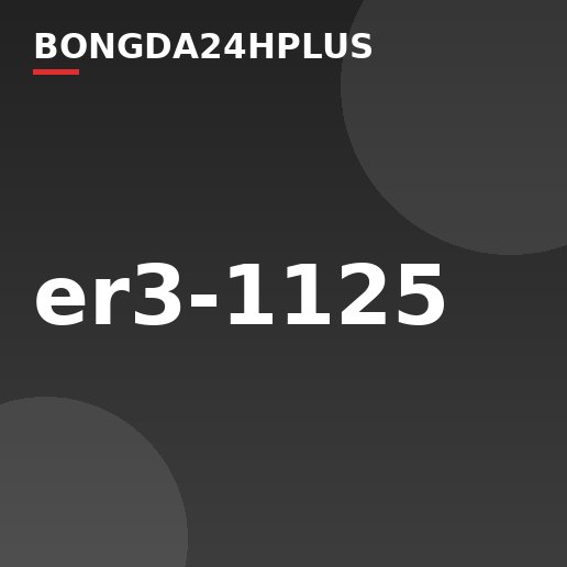 er3-1125