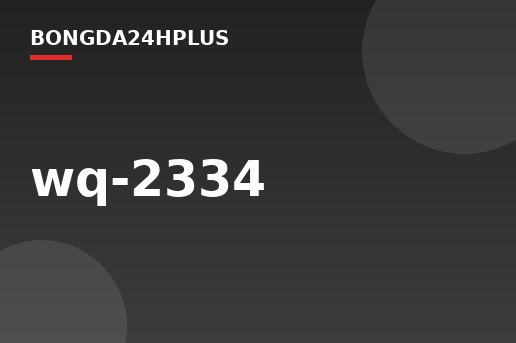 wq-2334