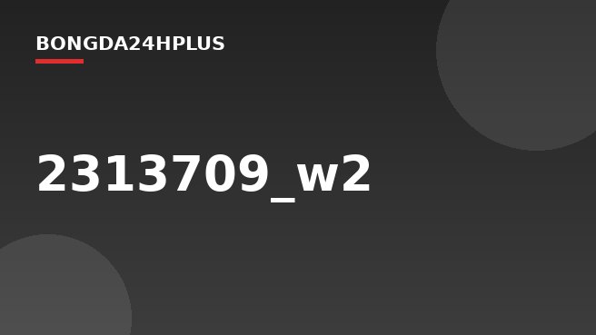 2313709_w2