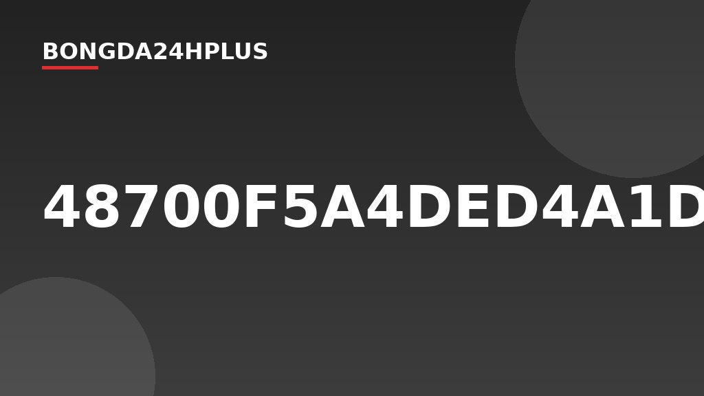 48700F5A4DED4A1D968BA2AA49AFAA8B