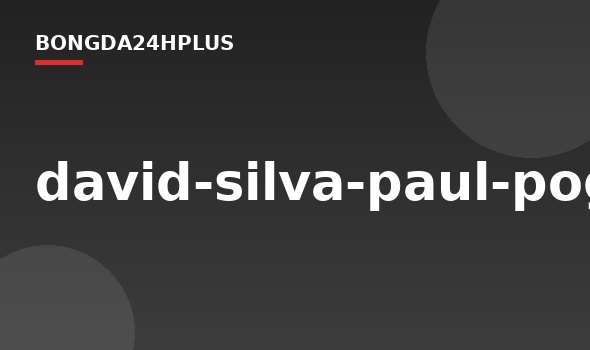 david-silva-paul-pogba-365615